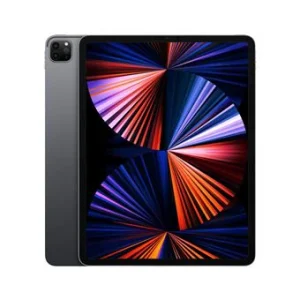 Apple iPad Pro 12.9 (5. generation) Grå